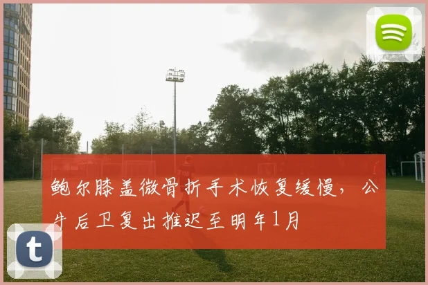 鲍尔膝盖微骨折手术恢复缓慢,公牛后卫复出推迟至明年1月